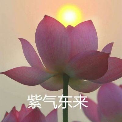 逆仙屠龙破解版下载